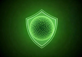 Can-Improved-Cellular-Health-Aid-Immune-Support Cellregen UK