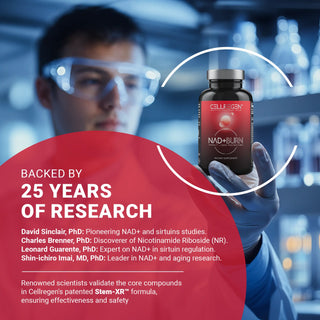 NAD+BURN™ | Thermogenic & Metabolic ComplexAdvanced fat-loss and metabolic reset formula designed to supercharge energy, regulate appetite, and optimize insulin function. Cellregen