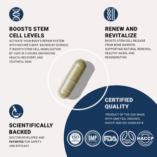 StemXR® 90 Capsules | Amplify Stem Cells, Supercharge Energy, Rejuvenate Skin, and Transform Your Vitality Cellregen
